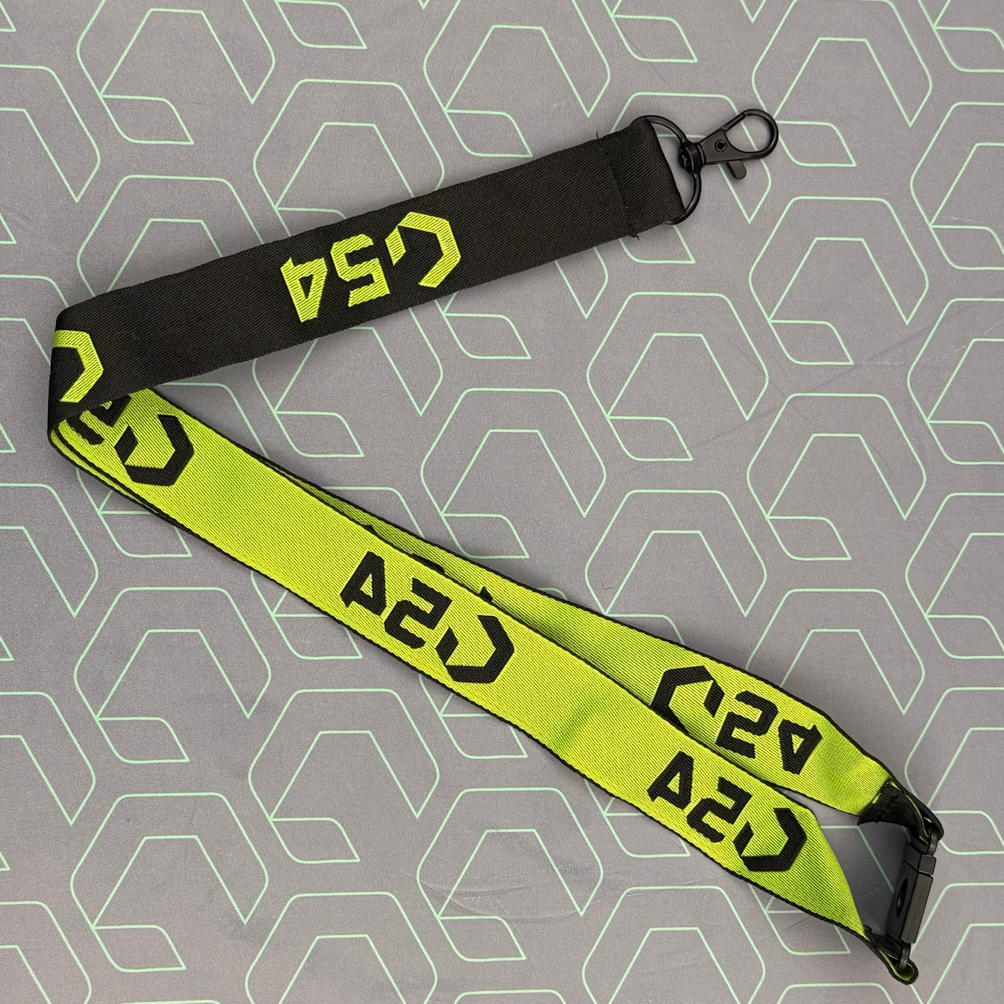 Lanyard
